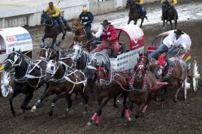 Rodeo Is a Theatre of Violence and Danger — and It’s Not Going Anywhere