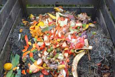 Reduce Your Food Waste to Save Money, Boost Health and Reduce CO2 Emissions