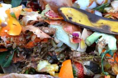 U of G Recognized for Project to Help Families Reduce Food Waste