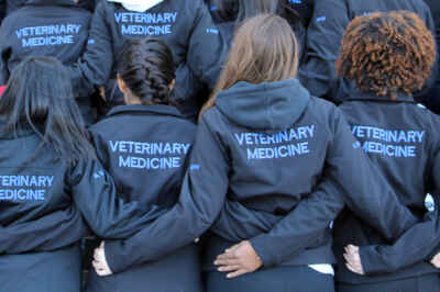 OVC 5th in New World Veterinary College Ranking