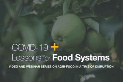 U of G Webinar Series Focuses on Impact of Pandemic on Food