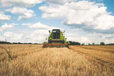 U of G Experts Contribute to COVID-19-Focused Agriculture Journal