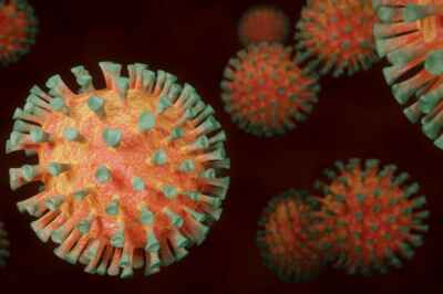 U of G Launches Research Fund in Fight Against COVID-19