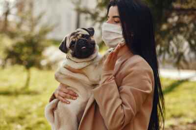 U of G Researchers Studying Coronavirus Infection in Pets