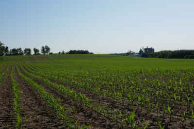 U of G Future Food Vision a Semi-finalist for International Prize