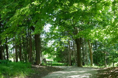 International Students, Canadian Newcomers Invited to Explore Nature in U of G’s Backyard