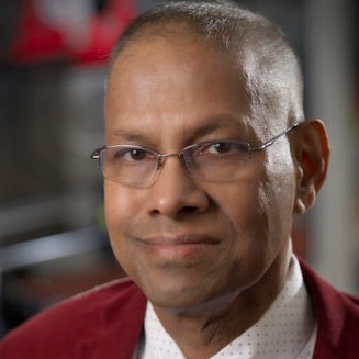 Times of India Interviews Sustainable Biomaterials Researcher