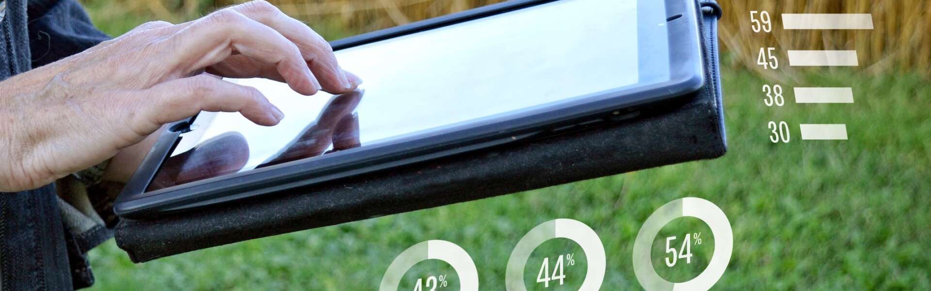 A researcher uses an iPad near a grain field