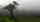 A single tall tree stands out among a cloud forest in Costa Rica