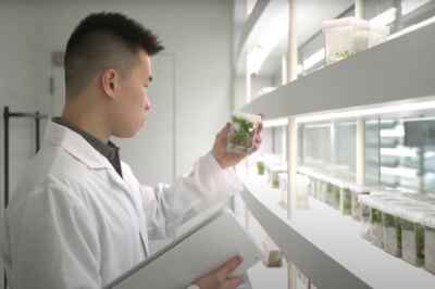 U of G Ranks Among Top Canadian Research Universities