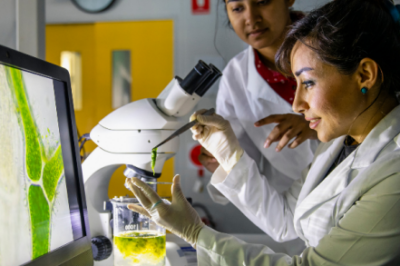 U of G Offers Let’s Talk Science Panel on Women in STEM