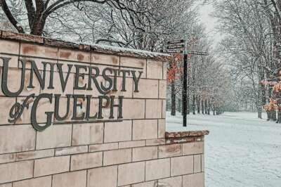 U of G United Way Campaign Raises More Than $ 500,000 in Pandemic Year