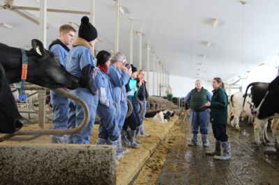 U of G’s World-Renowned Dairy Cattle Welfare Program Virtual This Year