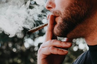 Early Cannabis Use Linked to Heart Disease, Say U of G Researchers