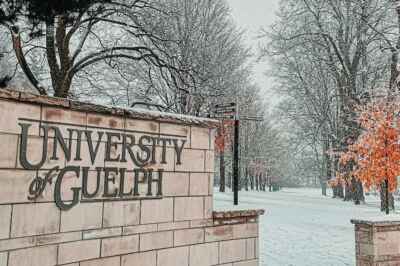 U of G Returns to In-Person Teaching, Learning Monday