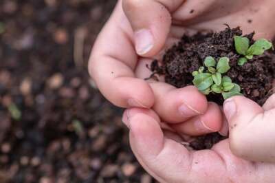 Soils Are Depleting But There Is Hope, Say U of G Researchers 