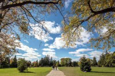 Webinar to Discuss Racism, Discrimination in Guelph and Wellington County