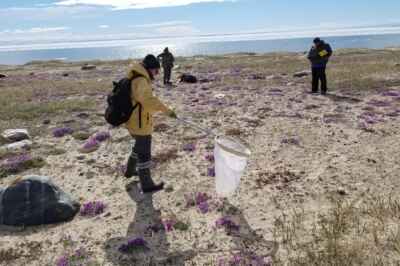 Canadian Biodiversity Project Receives Funding