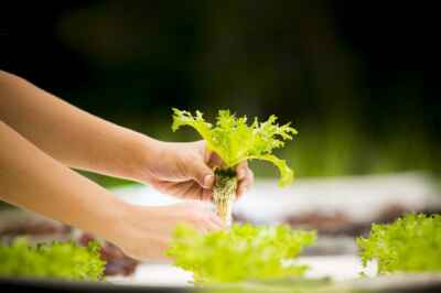 U of G Partners With Bioenterprise to Strengthen Agri-Food Innovation