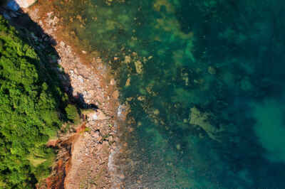 Algal Blooms Harmful Year-Round, Not Just in Summer, U of G Study Finds