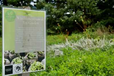 Bringing Indigenous Ways of Knowing to U of G’s Arboretum