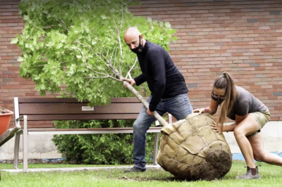 Student-Led Landscaping Project to Honour Health-Care Workers Continues to Grow