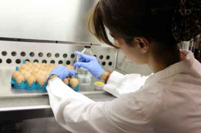 Antimicrobial Stewardship Researchers Awarded Provincial Funding