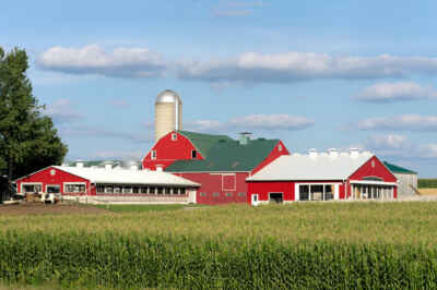 U of G-Scotland Joint Session to Discuss Post-Pandemic Green Rural Recovery