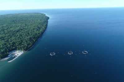 U of G Researcher Helps Write First-Ever Aquaculture Code of Practice