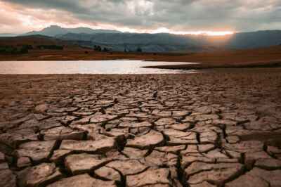 U of G Researcher Part of International Study Examining How We Are Adapting to Climate Change