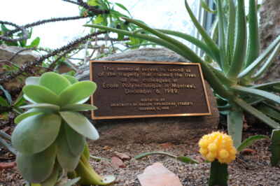 U of G to Host Memorial for National Day of Remembrance and Action on Violence Against Women