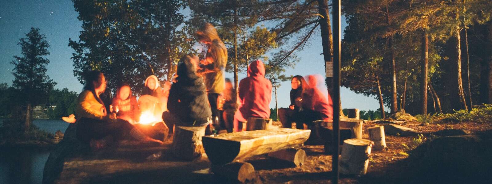 group of people near a campfire near trees during nighttime