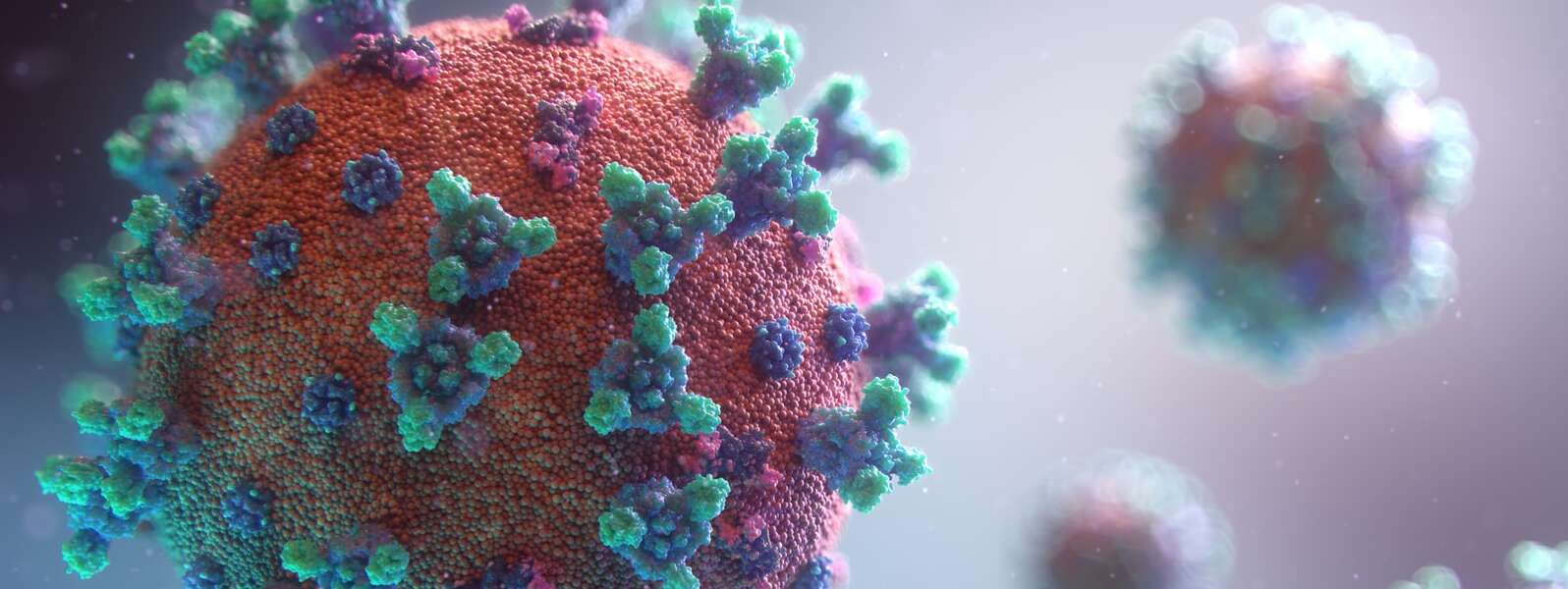 Visualization of the coronavirus causing COVID-19