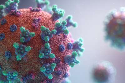 U of G Chemists Find Microwaves May Help Treat COVID-19