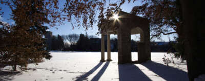 Holocaust Remembrance for Dignity and Human Rights: Statement from AVP Diversity & Human Rights
