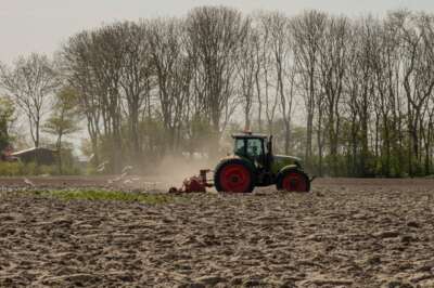 U of G Prof Co-authors Expert Panel Report on Crop Plant, Food Security Threats
