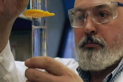 U of G-Developed Vaccine for Diarrheal Microbe Set for Human Trials