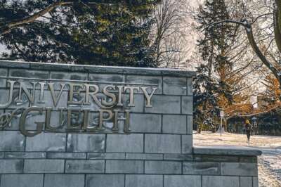 Statement from President Dr. Charlotte Yates on Academic Freedom, Democracy