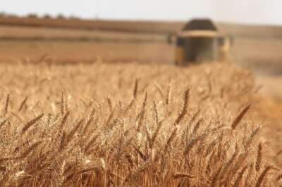 $ 2M Gift to Support Field Crops Research, Teaching at U of G’s Ridgetown Campus