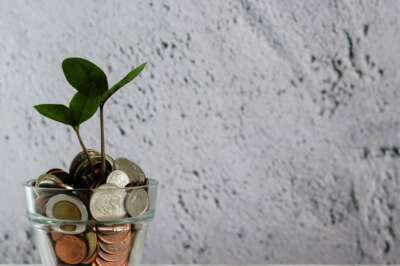 Popularity of ‘Green’ Bonds May Not Last, Says U of G Economist