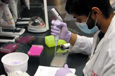 U of G Playing a Key Role in Avian Influenza Response in Ontario 