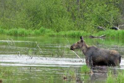 Indigenous Voices Needed in Climate Change Discussions: U of G Study
