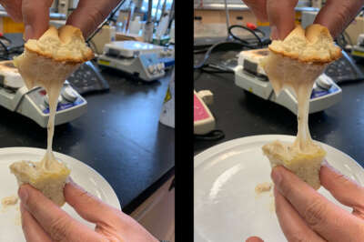 Food Scientists Developing Plant-Based Cheeses that Melt, Stretch, Spread