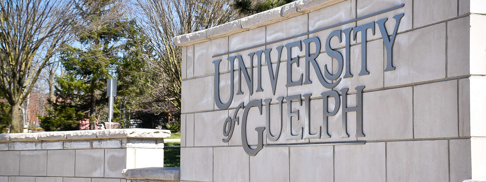 University of Guelph sign on a concrete wall on the edge of campus