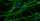 An artist rendering of neurons