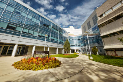 International Researcher Joining U of G to Launch Innovative Biotechnology Centre  