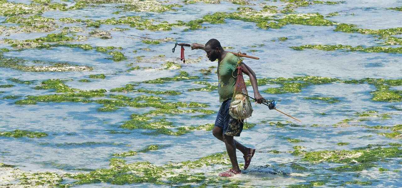 A person walks across shoreline.