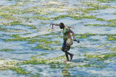 Hurt by COVID, Africa’s Small-Scale Fishers Now Need Support