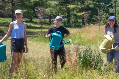 New Seed Orchard at U of G Serves Community and Aids Pollinators