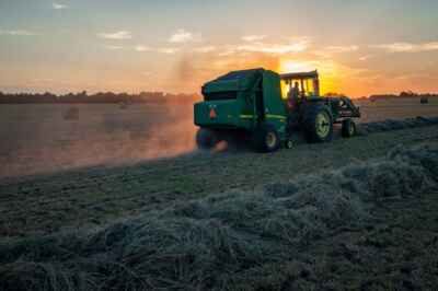 Farmer Mental Health in Canada Worsened During Pandemic, U of G Research Finds 